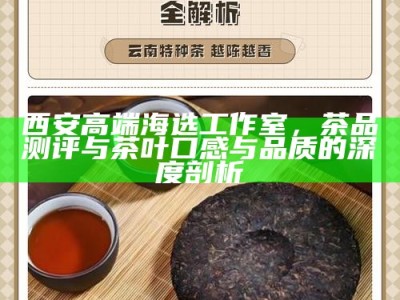 西安高端海选工作室，茶品测评与茶叶口感与品质的深度剖析