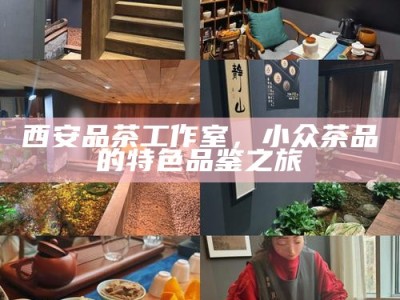 西安品茶工作室，小众茶品的特色品鉴之旅