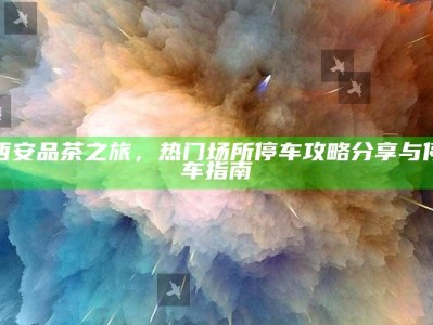 西安品茶之旅，热门场所停车攻略与指南