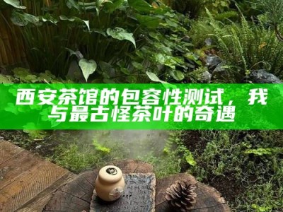 西安茶馆的包容性测试，我与最古怪茶叶的奇遇