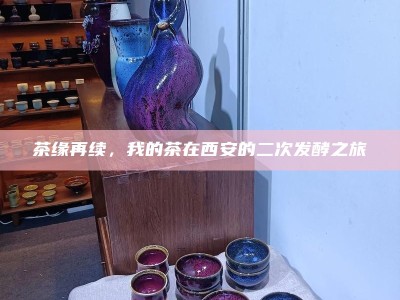茶缘再续，我的茶在西安的二次发酵之旅