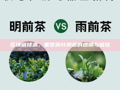 区块链技术，重塑茶叶溯源的透明与信任