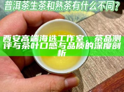 西安高端海选工作室，茶品测评与茶叶口感与品质的深度剖析