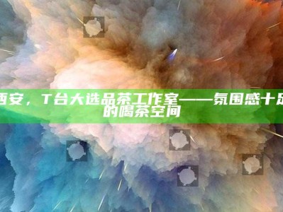 西安T台大选品茶工作室，打造氛围感十足的品茶空间