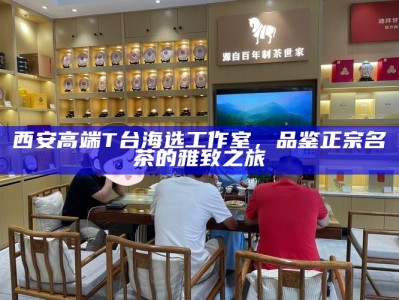 西安高端海选工作室，2026年超值团购套餐，尽享奢华茶文化之旅