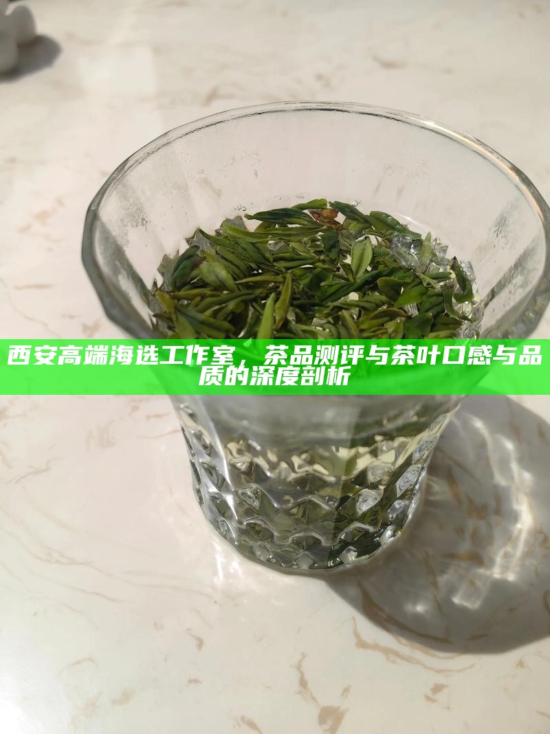 西安高端海选工作室，茶品测评与茶叶口感与品质的深度剖析