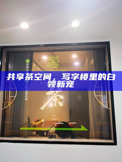 西安品茶之旅,海选工作室推荐与高性价比茶室真实打卡攻略