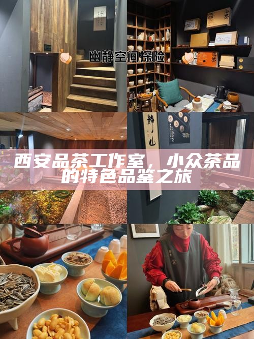 西安品茶工作室,小众茶品的特色品鉴之旅