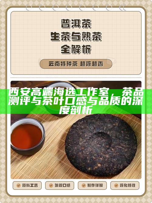 西安高端海选工作室，茶品测评与茶叶口感与品质的深度剖析
