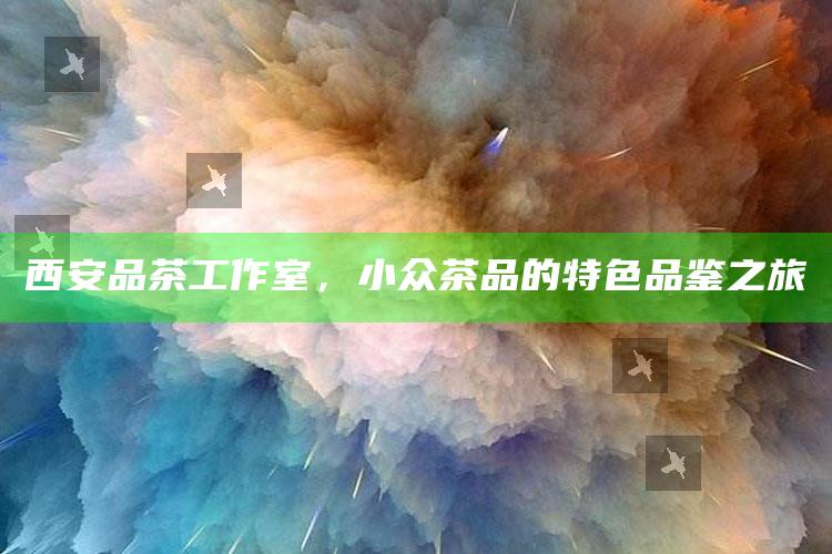 西安品茶工作室，小众茶品的特色品鉴之旅
