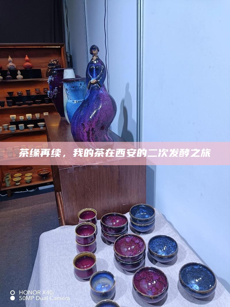 茶缘再续，我的茶在西安的二次发酵之旅